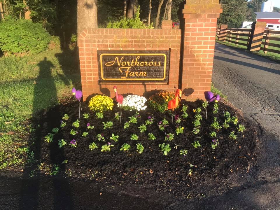 Planting lawns, creating gardens and hardscaping.